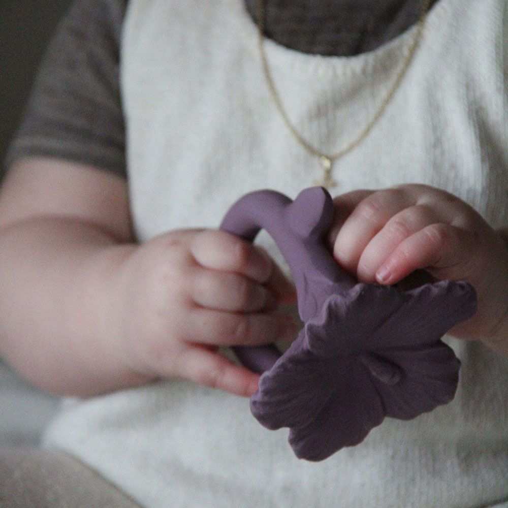 Natruba - Teether Hawaii Flower - Purple