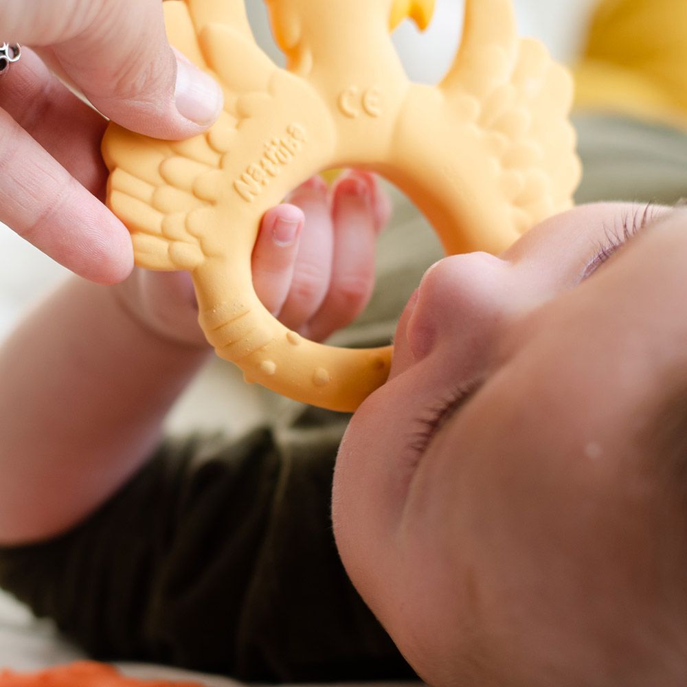 Natruba - Teether Parrot - Yellow