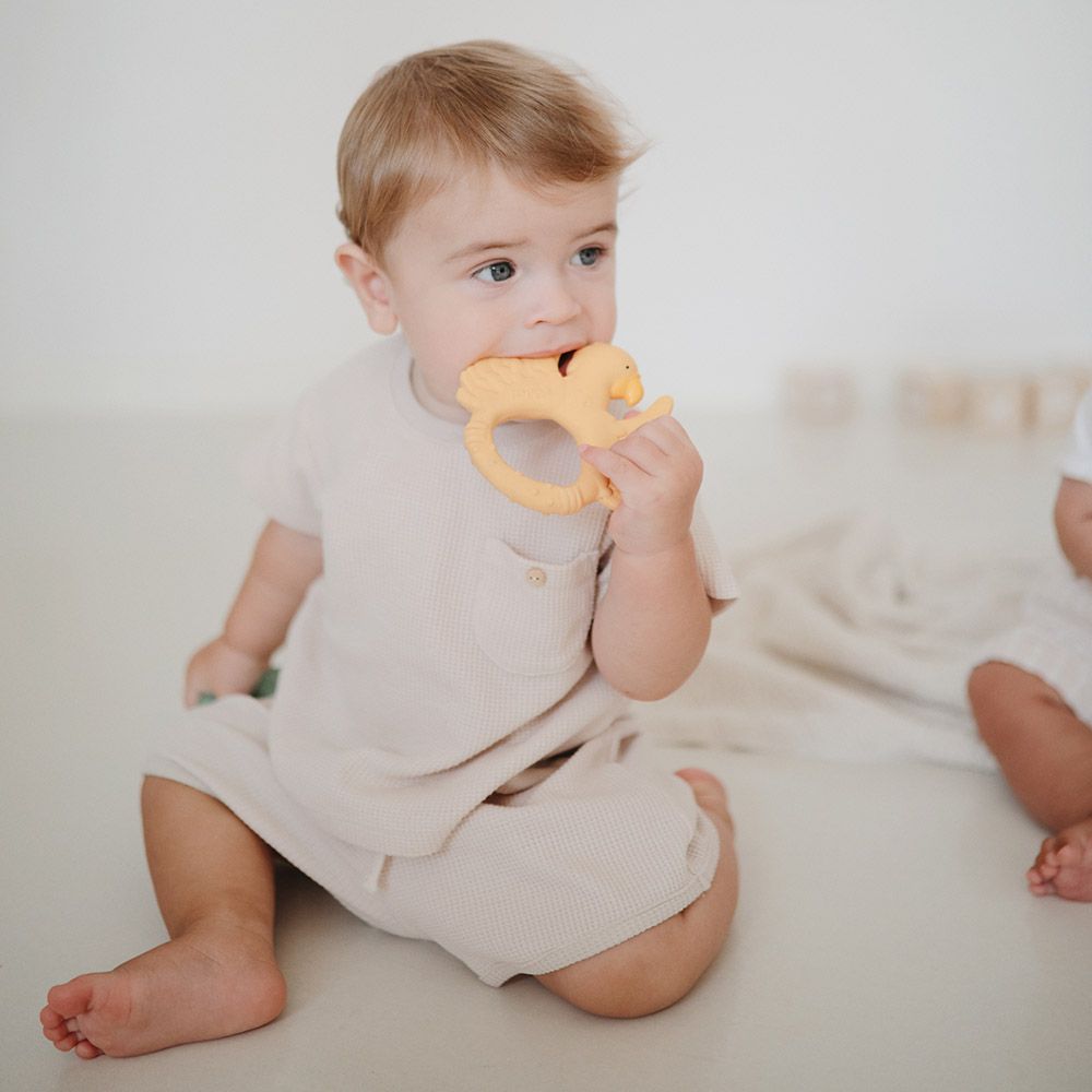 Natruba - Teether Parrot - Yellow