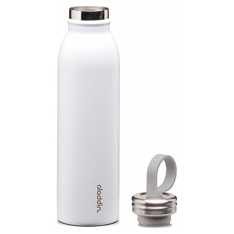 Aladdin - Chilled SS Water Bottle 0.55L - Snowflake White