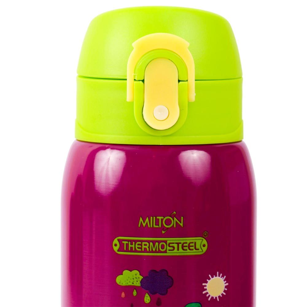 Milton - Jolly Stainless Steel Water Bottle - 300ml - Tiger Purple