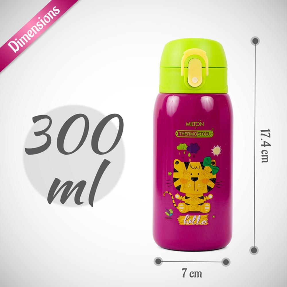 Milton - Jolly Stainless Steel Water Bottle - 300ml - Tiger Purple