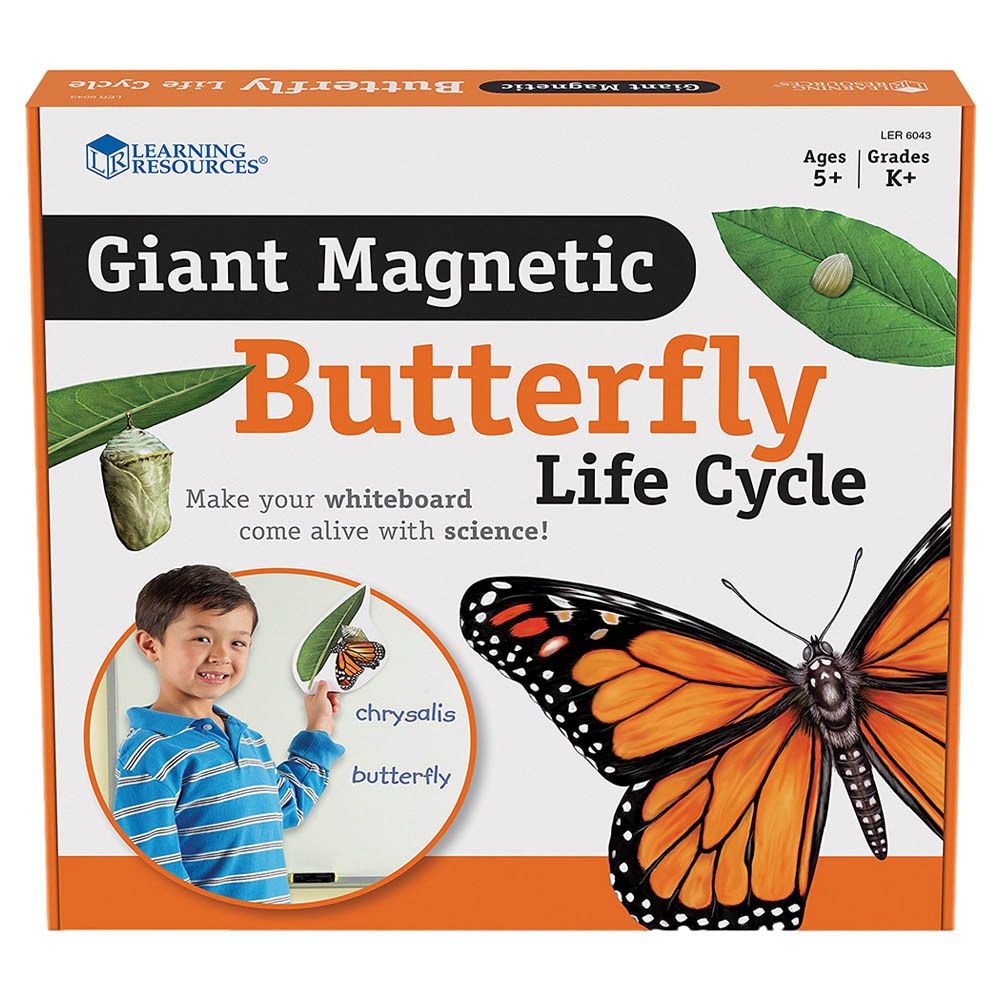 Learning Resources - Magnetic Butterfly Life Cycle