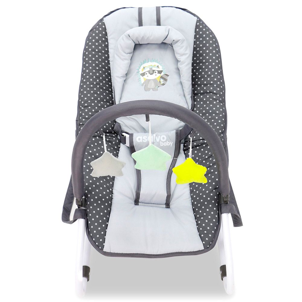 Asalvo - Baby Bouncer - Baby Raccoon