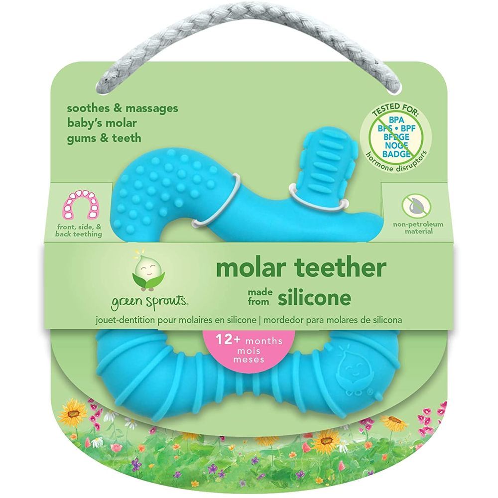 Green Sprouts - Molar Teether - Aqua