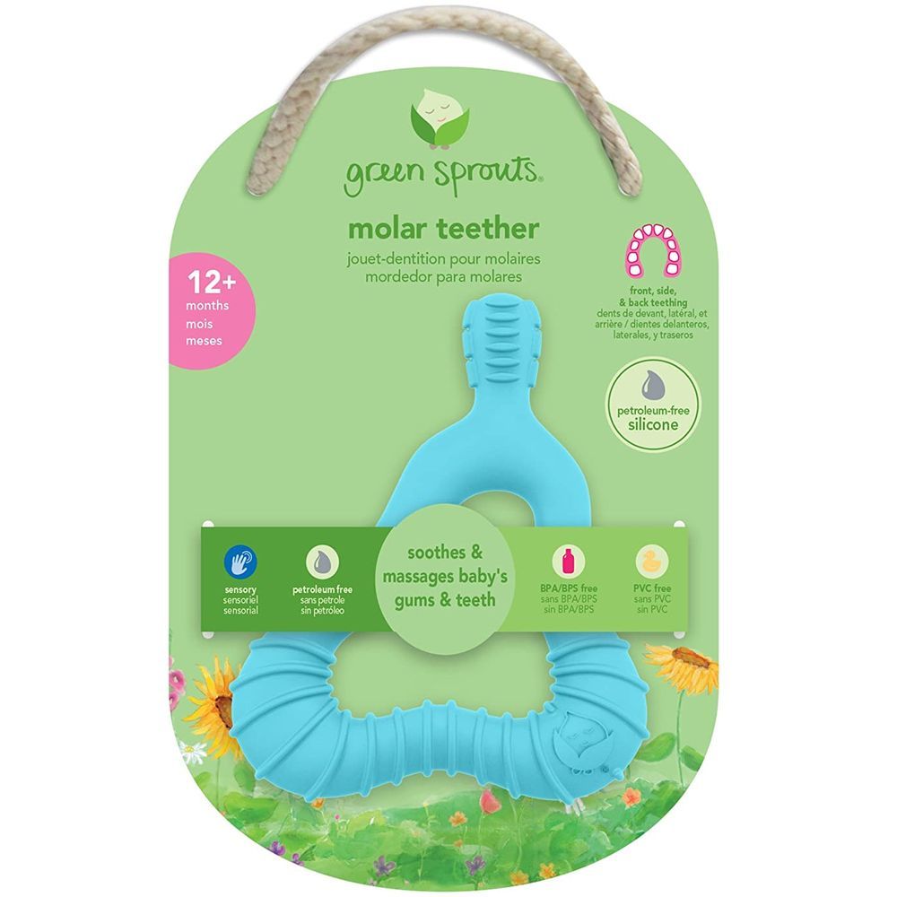 Green Sprouts - Molar Teether - Aqua