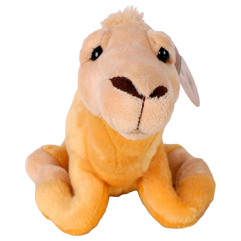 Cuddles - Camel Funky UAE Plush Toy - 12 Inch