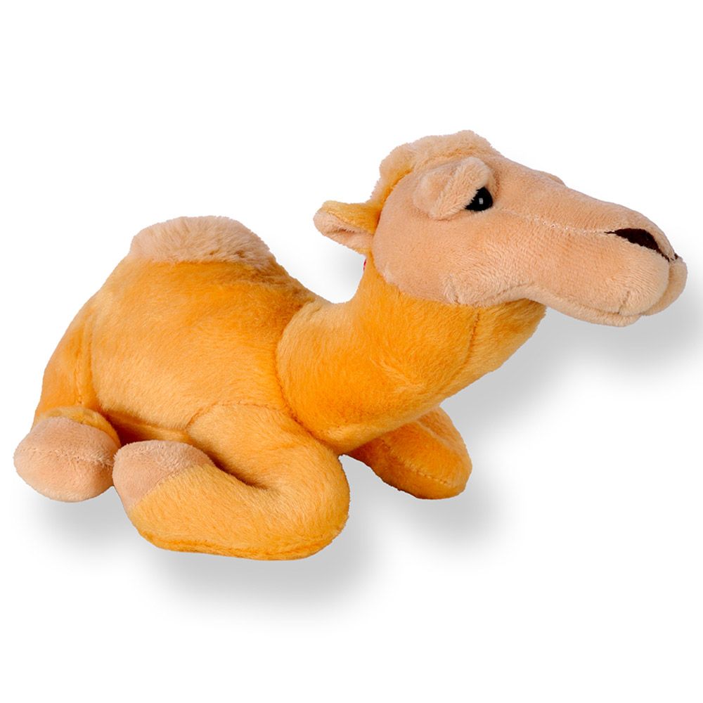 Cuddles - Camel Funky UAE Plush Toy - 12 Inch