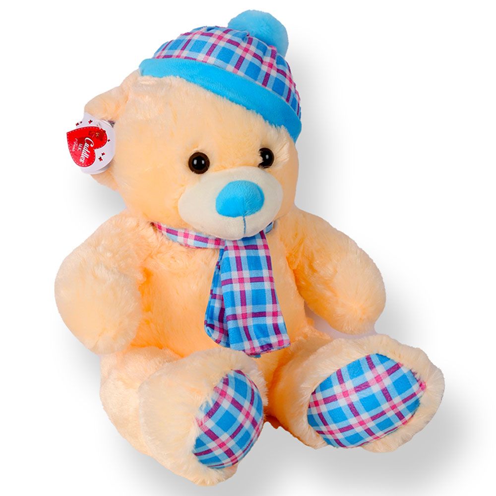 Cuddles - Checks Bear Plush - 14 Inch - Style May Vary