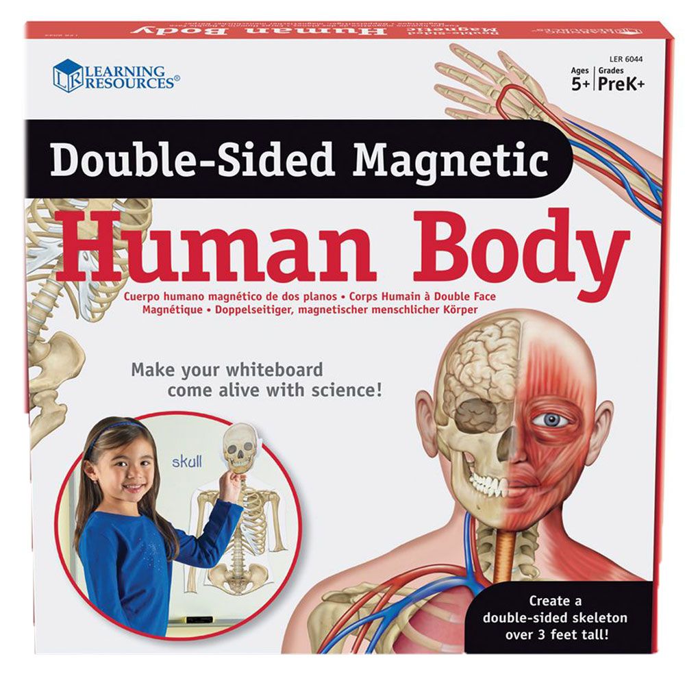 Learning Resources - Double-Sided Magnetic Human Body 3Ft - 17Pcs