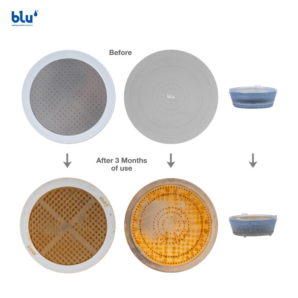 Blu - Ionic Shower Filter - Immune System Booster Wall Mount