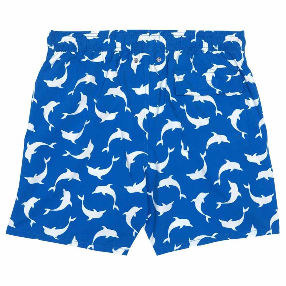 Turquoise - Men Dolphins Swim Shorts - Blue