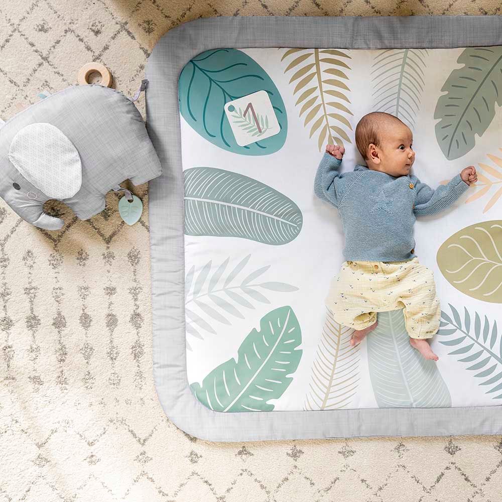 Ingenuity - Sprout Spot Baby Milestone Play Mat