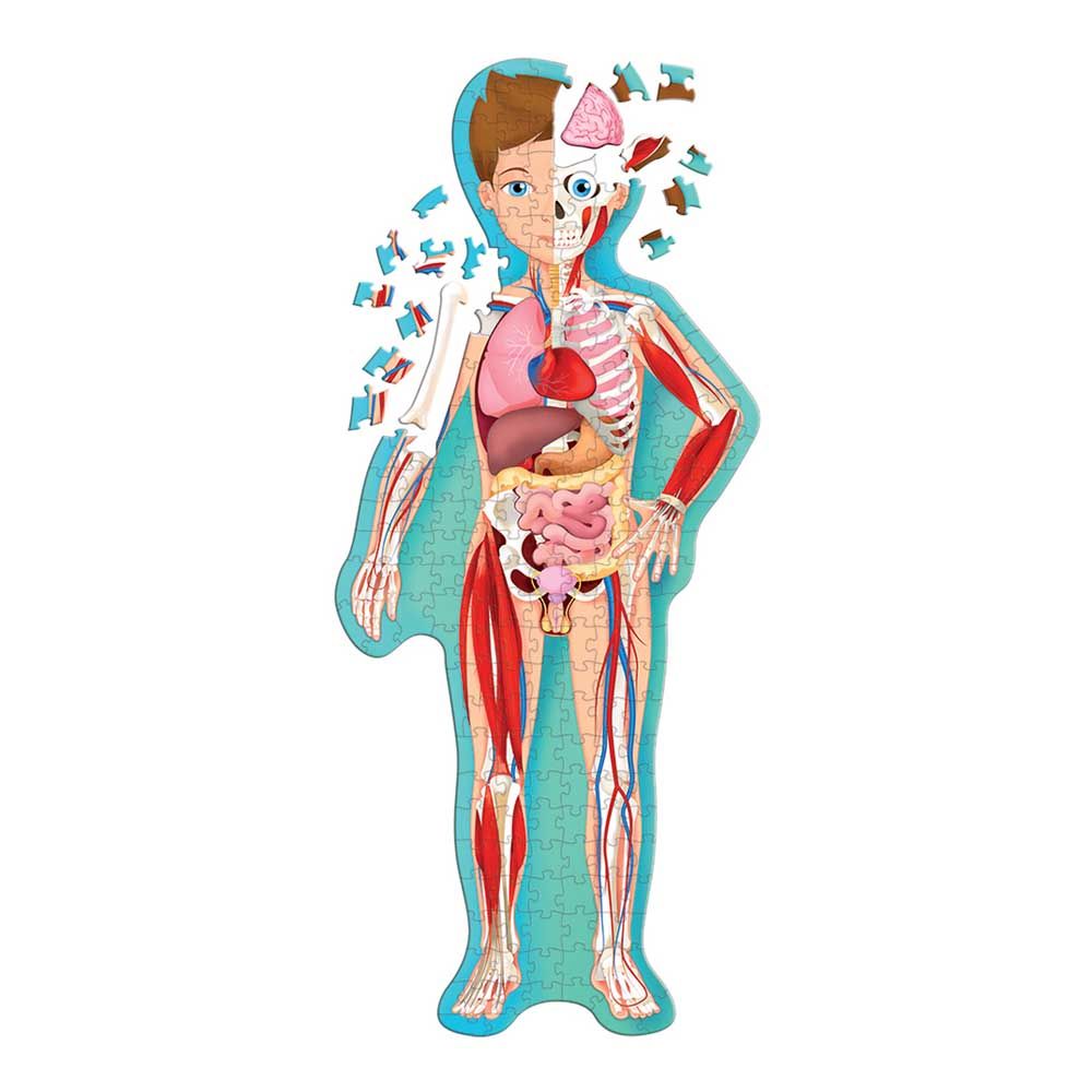 Sassi Junior Travel, Learn And Explore - The Human Body